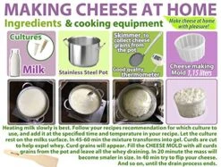 Basic Cheese Form, Soft & Hard Cheeses Hard Cheese Mold Butter Punched Making Form 1.15 Liters -KitchenAid Shop 51qElS0NB9L