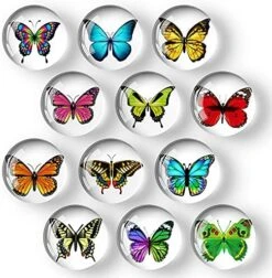 12Pcs Glass Strong Magnetic Refrigerator Magnet Fridge Sticker - Round Life Tree Glass Fridge Decoration, Office Whiteboard Magnet, Cabinet Magnet, Dishwasher Magnet, Cabinet Cute Locker Magnet… -KitchenAid Shop 51uvhG4j10S. AC