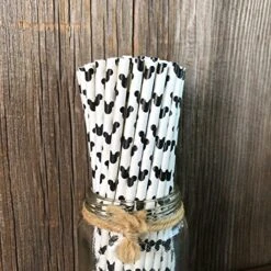 Mickey Mouse Inspired Paper Straws - Black White - 100 Pack - Outside The Box Papers Brand -KitchenAid Shop 61XhVRNB0RL
